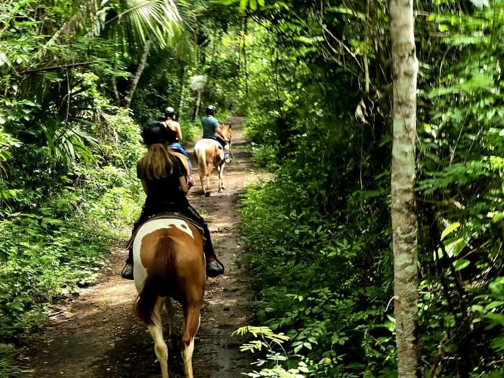 Paardrijden in de jungle