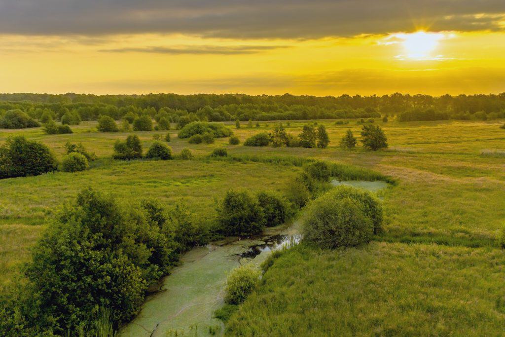 Rivier de Drentsche Aa stroomt door het Drentse landschap