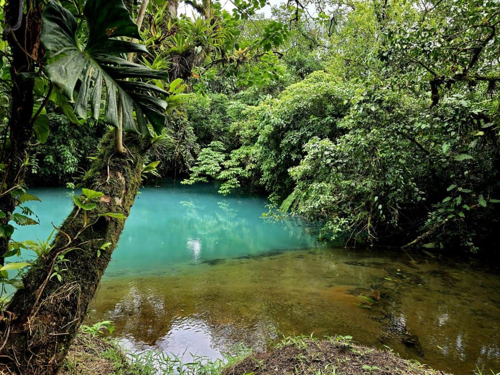 Het blauwe water van Rio Celeste