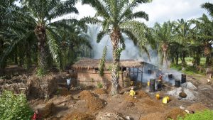 Het weer in Burundi in februari 2025