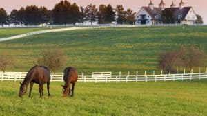 Het weer in Kentucky, Verenigde Staten in mei 2021