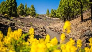 Het weer in La Palma, Spanje in september 2024