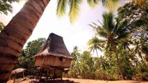 Het klimaat van Oost-Timor