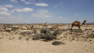 Het klimaat van Somalië