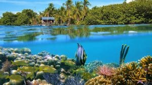 Het klimaat van Bocas del Toro, Panama