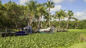 Het klimaat van Everglades National Park, Florida