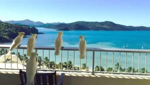 Het weer in Hamilton Island, Australië in mei 2023