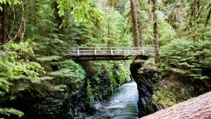 Weer in Olympic National Park, Washington in juni 2015: temperatuur, zon en neerslag