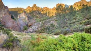 Het weer in Pinnacles National Park, Californië in februari 2014