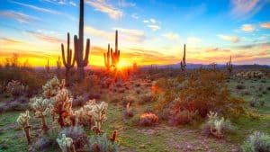 Het weer in Saguaro National Park, Arizona in juli 2025