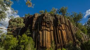 Het klimaat van Narrabri West, Australië