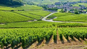 Het weer in Bourgogne, Frankrijk in februari 2017