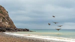 Het klimaat van Isla de La Plata, Ecuador