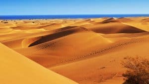 Het weer in Maspalomas, Gran Canaria in mei 2019