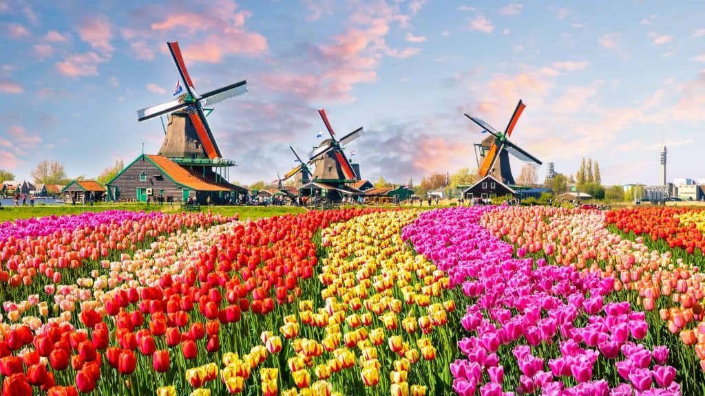Het klimaat van Nederland, temperaturen, zon & beste reistijd