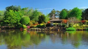 Het weer in Toowoomba, Australië in mei 2025