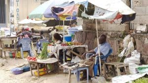 Het klimaat van Kinshasa, Congo-Kinshasa