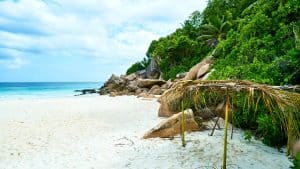 Het weer in La Réunion, Seychellen in januari 2026