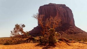 Het klimaat van Oljato–Monument Valley, Utah