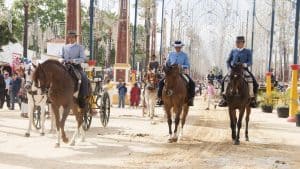 Het weer in Jerez de la Frontera, Spanje in januari 2026