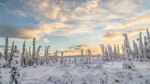 Het weer in Zweeds Lapland, Zweden in maart 2022