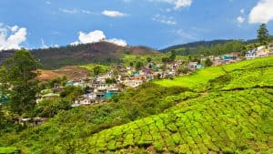 Het klimaat van Darjeeling, India