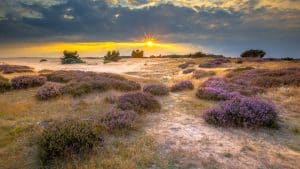 Het weer in De Hoge Veluwe (Nationaal Park), Nederland in oktober 2025