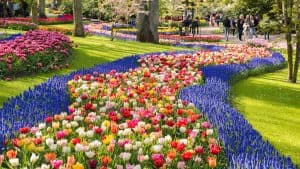 Het weer in Keukenhof, Nederland in september 2014