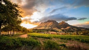 Het weer in Stellenbosch, Zuid-Afrika in augustus 2025