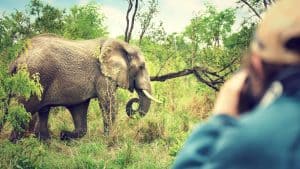 Het weer in Krugerpark, Zuid-Afrika in december 2023