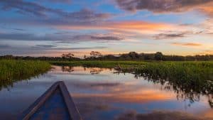 Het weer in Pucallpa, Peru in juli 2025