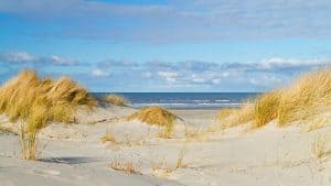 Het weer in Nieuwvliet-Bad, Nederland in mei 2025