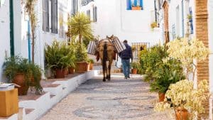 Het weer in Frigiliana, Spanje in februari 2026