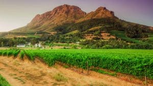 Het klimaat van Kaapse Wynland, Zuid-Afrika