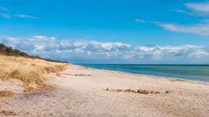 Het weer in Marielyst, Denemarken in december 2025