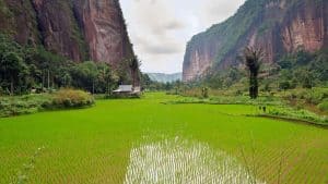 Het weer in Sumatra, Indonesië in februari 2015