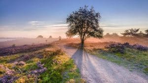 Het weer in Veluwe, Nederland in oktober 2025