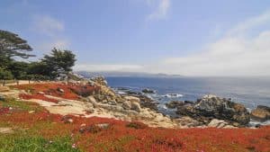 Het klimaat van Pebble Beach, Californië