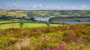 Het weer in Somerset, Engeland in februari 2022