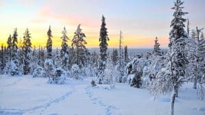 Het klimaat van Kittilä, Finland