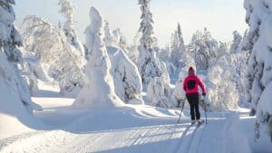 Het klimaat van Kuusamo, Finland