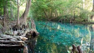 Het klimaat van Ocala, Florida