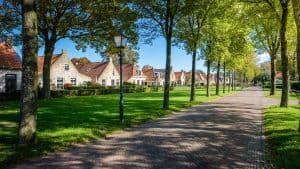 Het weer in Schiermonnikoog, Schiermonnikoog in januari 2026