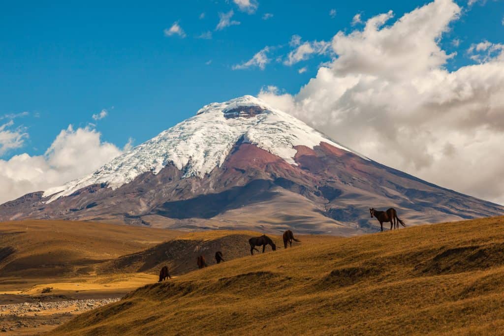 Nationaal park Cotopaxi in Ecuador