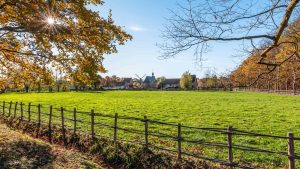 Weer in Haspengouw, België in februari 2022: temperatuur, zon en neerslag