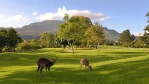 Het klimaat van George, Zuid-Afrika