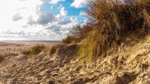 Het klimaat van Koksijde, België