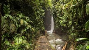 Het klimaat van Mindo, Ecuador