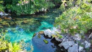 Het klimaat van Xel-Ha, Mexico