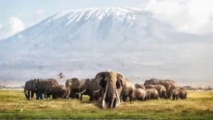 Het weer in Amboseli National Park, Kenia in oktober 2016